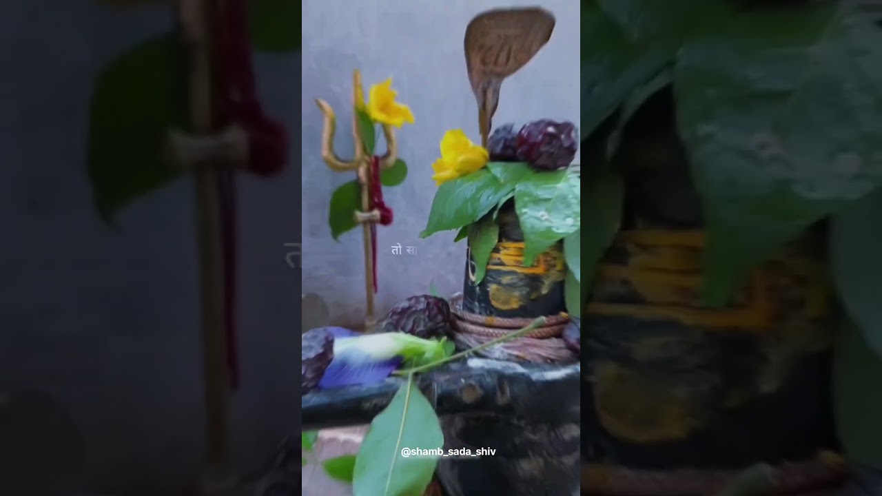 Shubh Somwar & Mahadev Status Video 🕉️