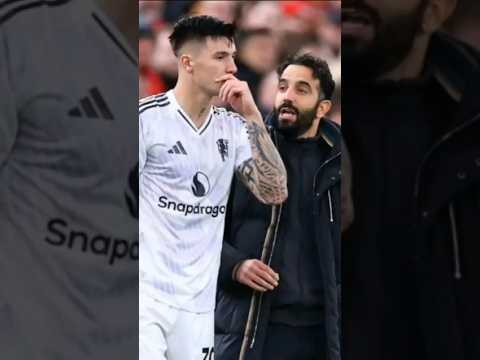 Man United Vs Brighton & Hove The Real Test