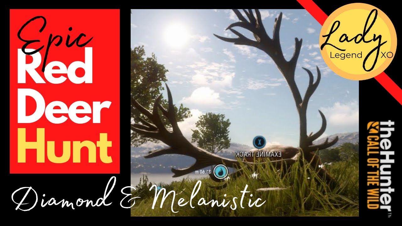 EPIC Red Deer Hunt with Diamond & Melanistic! - Hunter: Call of the Wild / Diamond & Rare