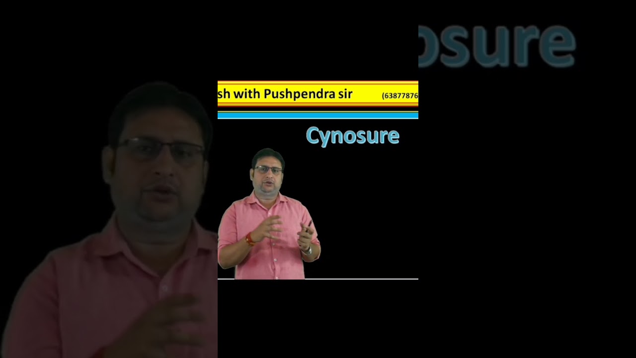 Cynosure Meaning & Key Vocabulary 📚