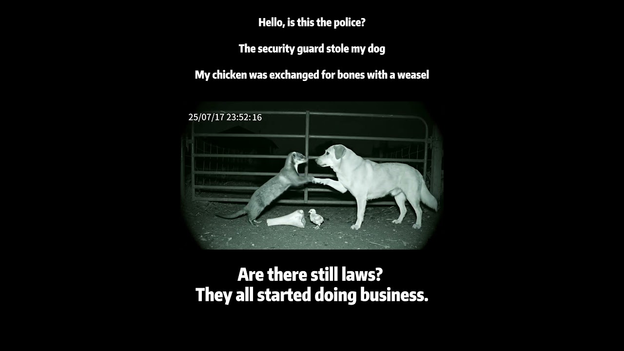 Dog Guard Turns Thief: Swapped My Chicken for Bones with a Weasel! 🐶🦝