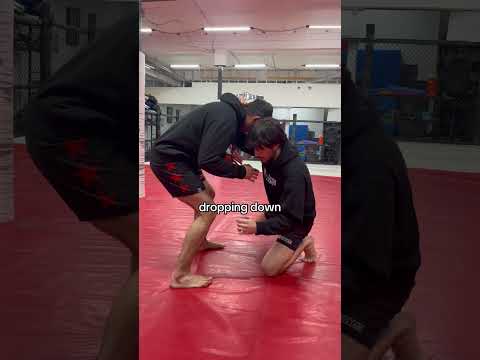 Ankle pick tutorial! #mma #wrestling #ufc #bjj