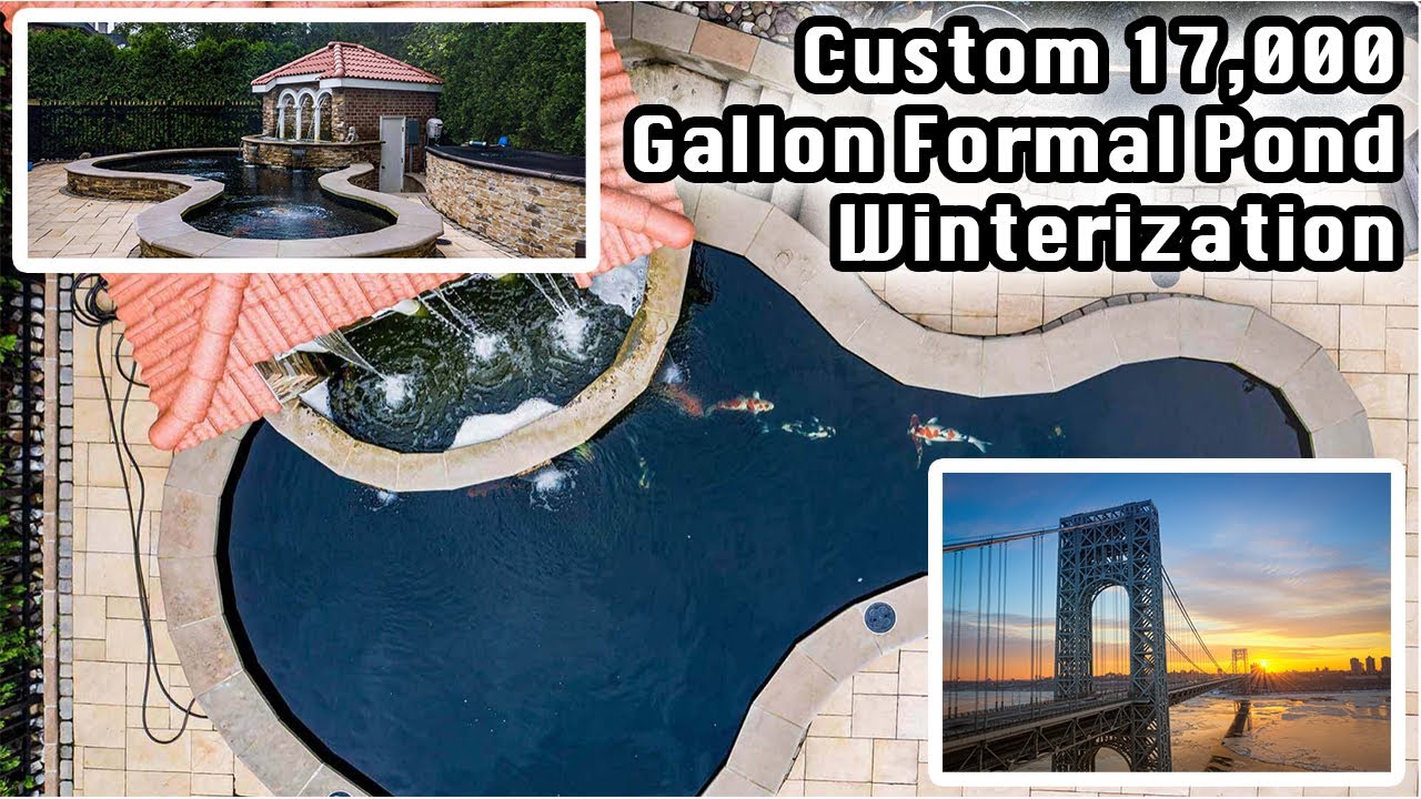 17,000 Gallon Formal Koi Pond Custom Winterization by GW Bridge! Massive 3 Foot KOI!