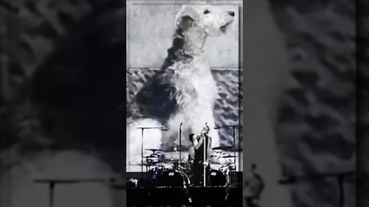 Depeche Mode - Remixes