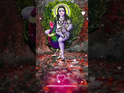 Dukh raj raj data nu sunaiye maley na vichad jana #babajistatus 🌹🌹❤️❤️❤️❤️🙏🙏🙏🙏🙏🙏🙏❤️❤️❤️❤️🌹🌹