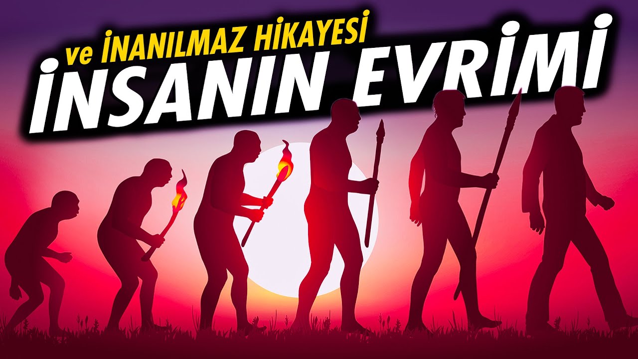 İnsanın Evrimi: Primatlardan Homo'ya 🧬