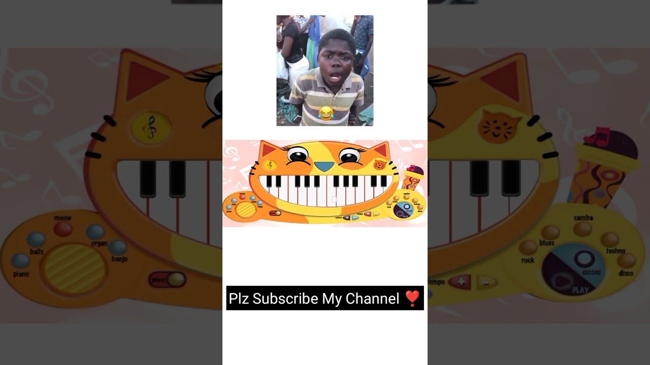 Ku Ku Kuku Meme on Cat Piano 🎹