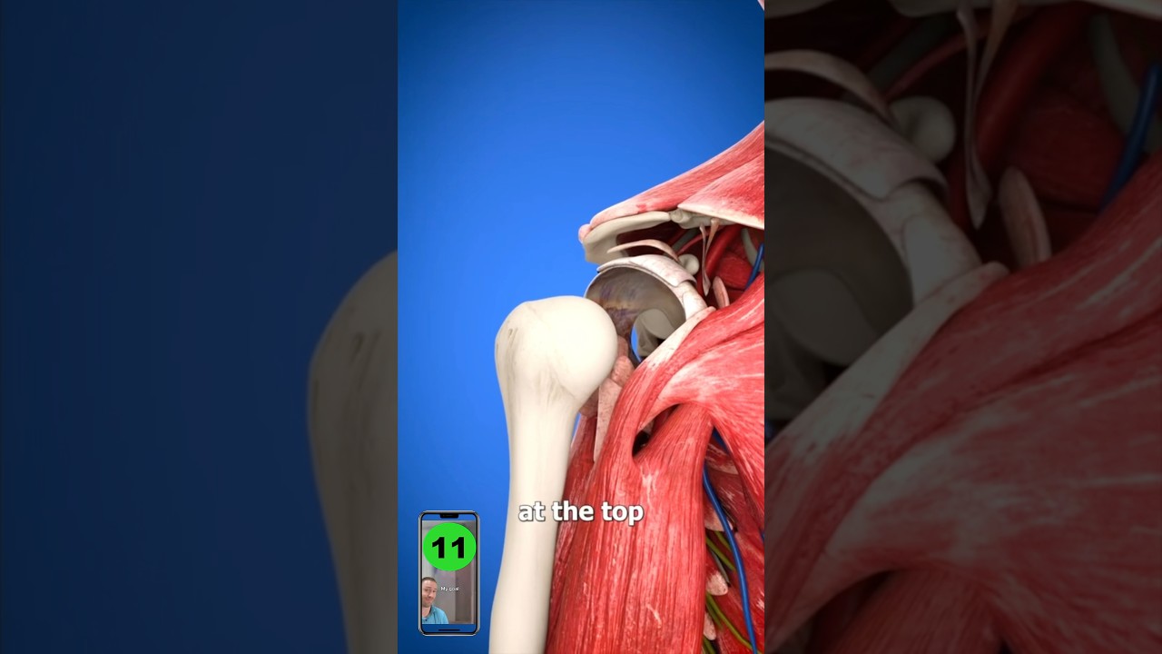 Heal A Shoulder DISLOCATION!😳