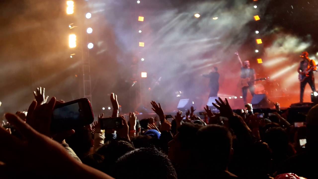 El Abandonado - Elefante en Ixtapaluca, 2016