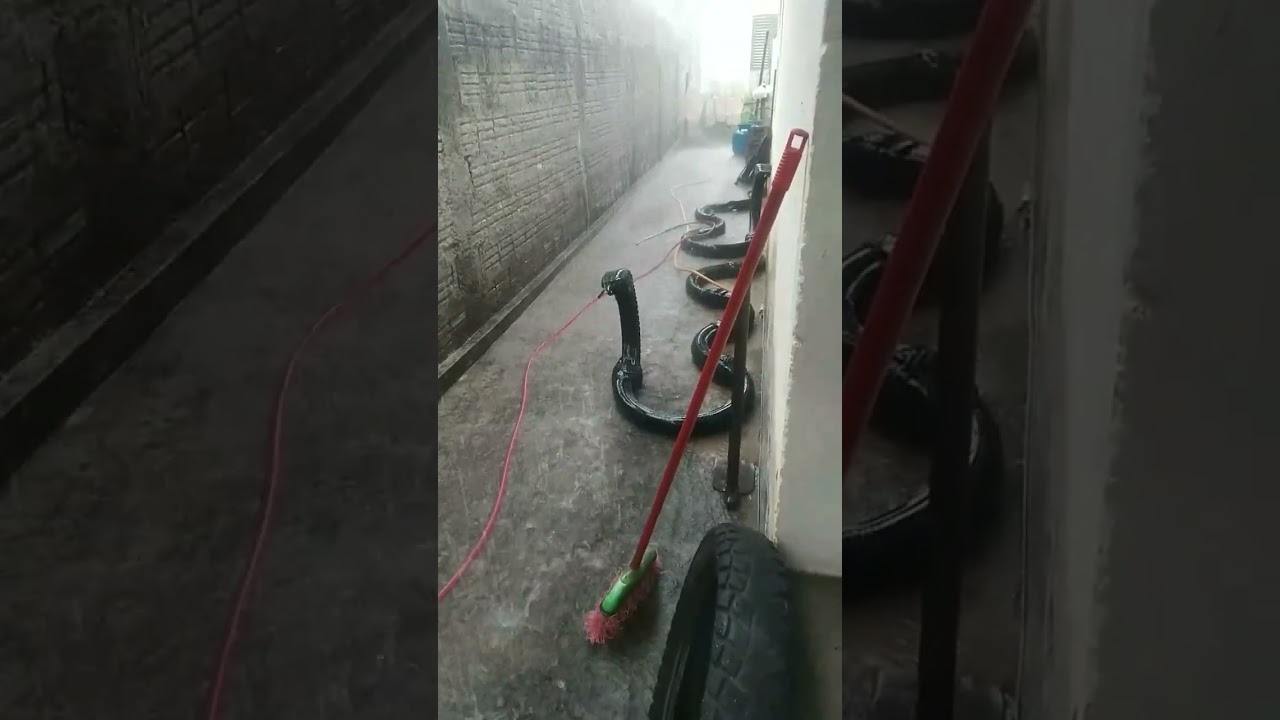 Forte enchente trouxe sucuris ao quintal, ameaçando gatos