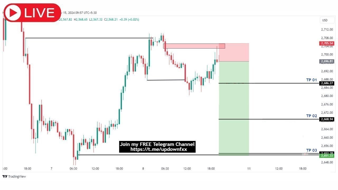 Live Gold (XAU/USD) Trading Update – Key Insights for November 14, 2025 📈