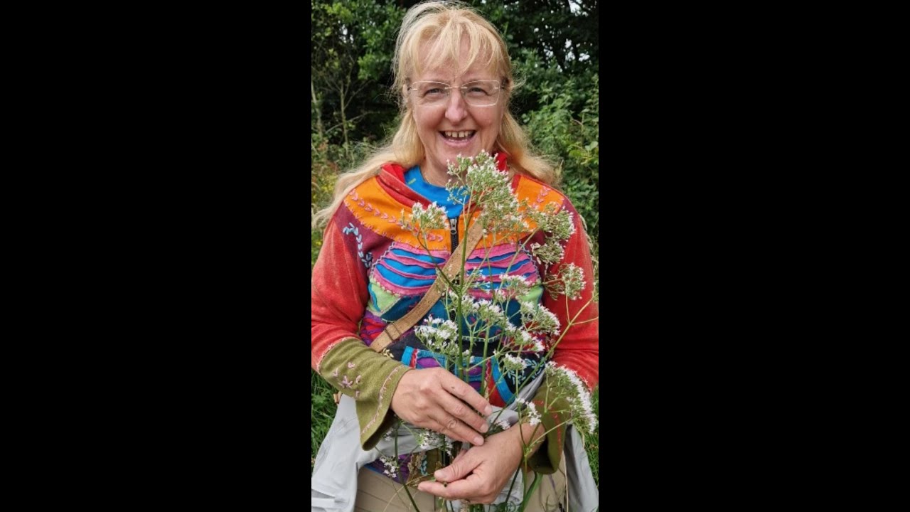 Valerian: Nature's Calm & Medicinal Herb 🌿