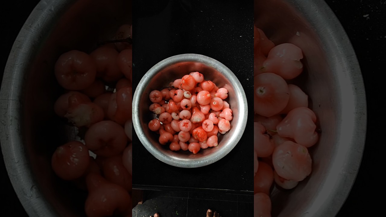 ജാബ്ബക്ക 😋 | FUNDA 2.0 | Malayalam Shorts