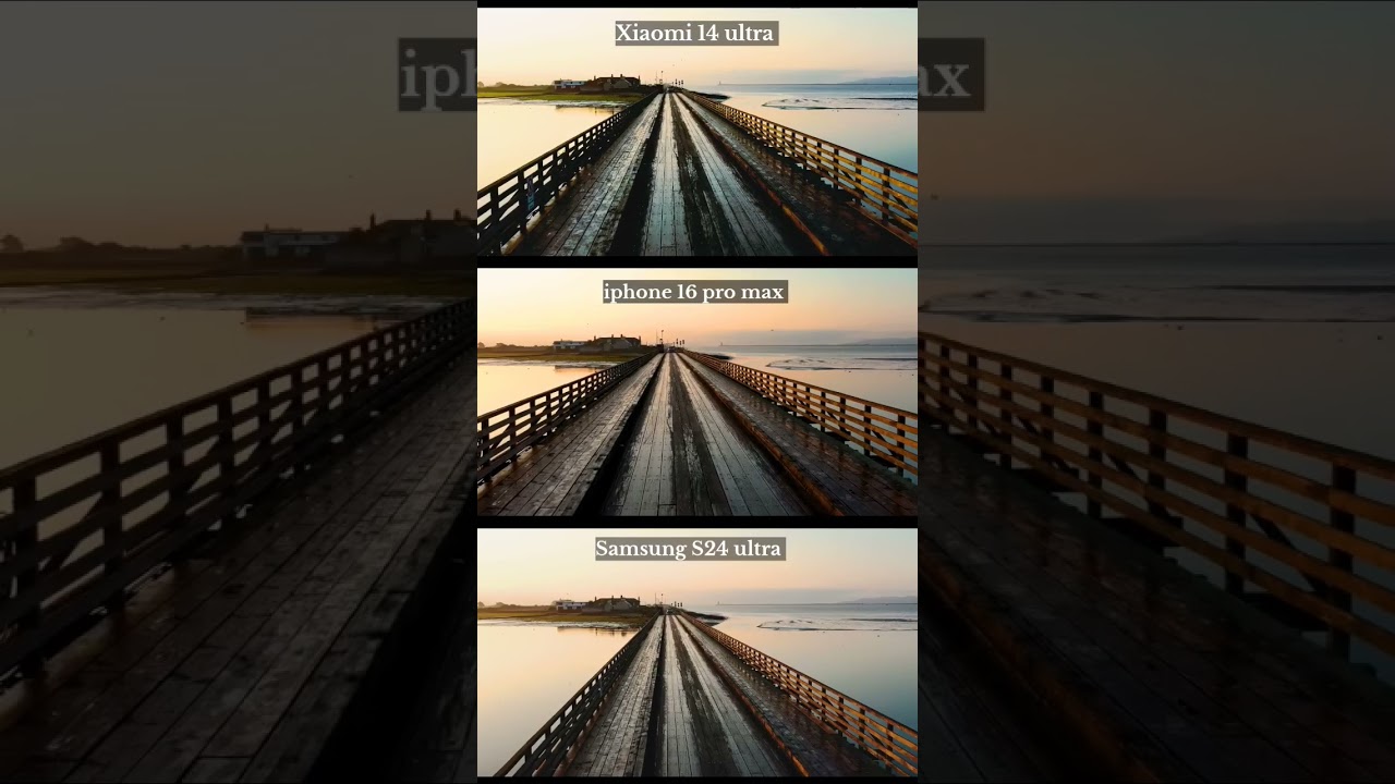 Galaxy S24 Ultra vs iPhone 16 Pro Max & Xiaomi 14 Ultra 📸