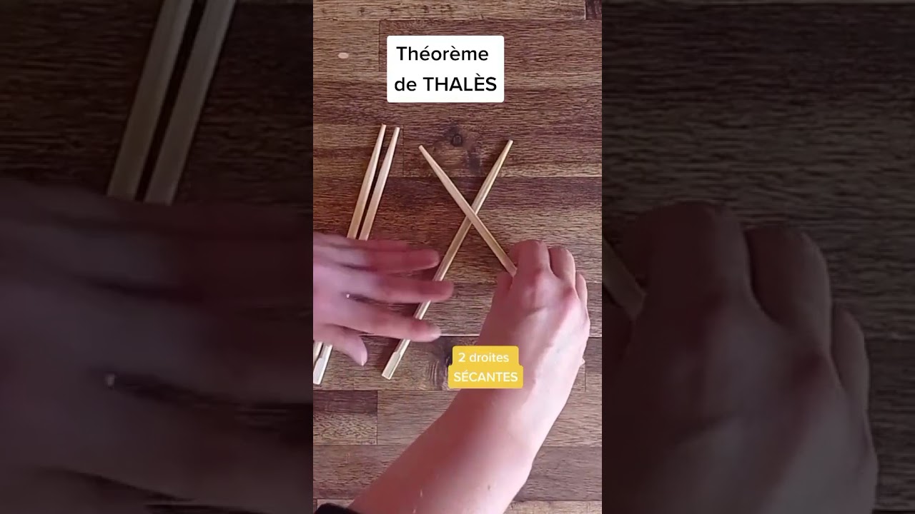Comprendre le Théorème de Thalès : Le Principe de la Proportion entre Triangles 📐