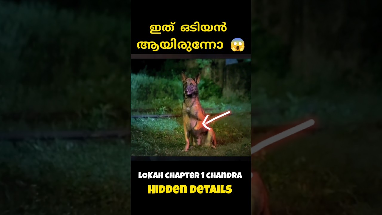 ഈ നായ ഒടിയൻ ആയിരുന്നോ lokah movie hidden details