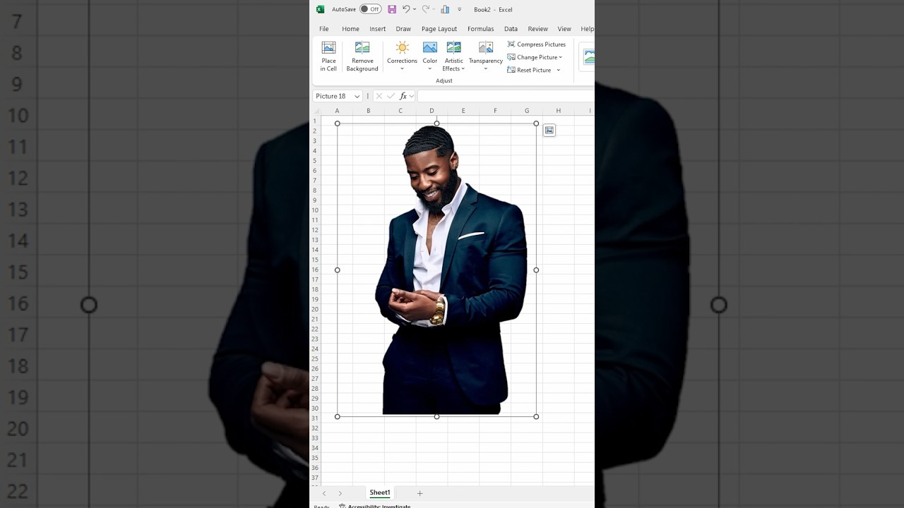 Add Images & Remove Backgrounds in Excel 2024 π