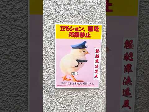 Inside the Japanese Alley of Trauma...