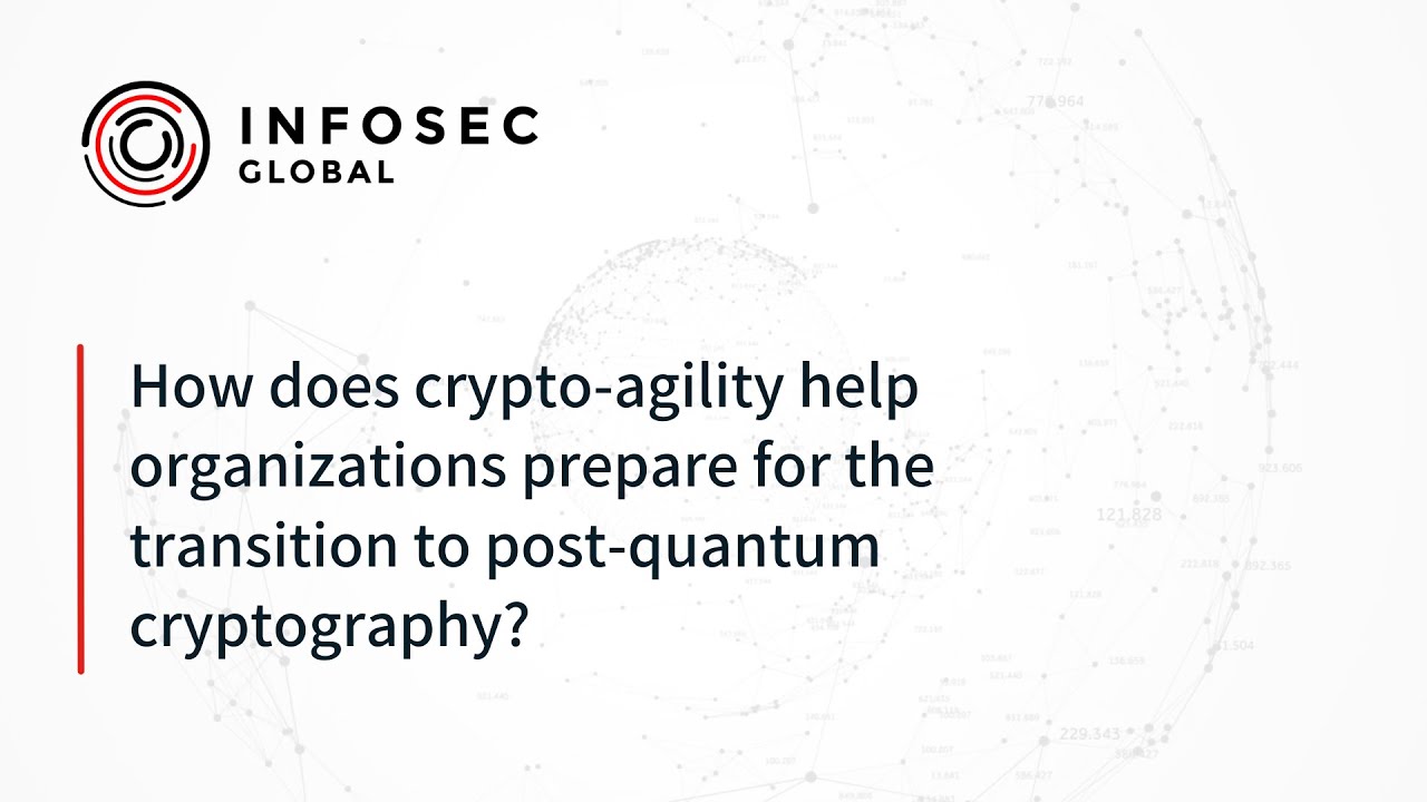 Post-Quantum Migration Planning 🛡️