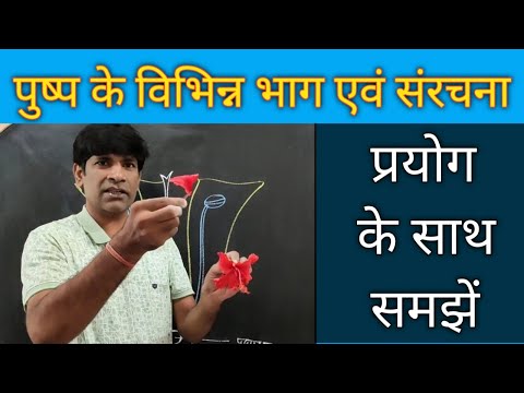 पुष्प के भाग। Part of flower. पुष्प की संरचना। Structure of flower. पुष्प प्रेक्टिकल