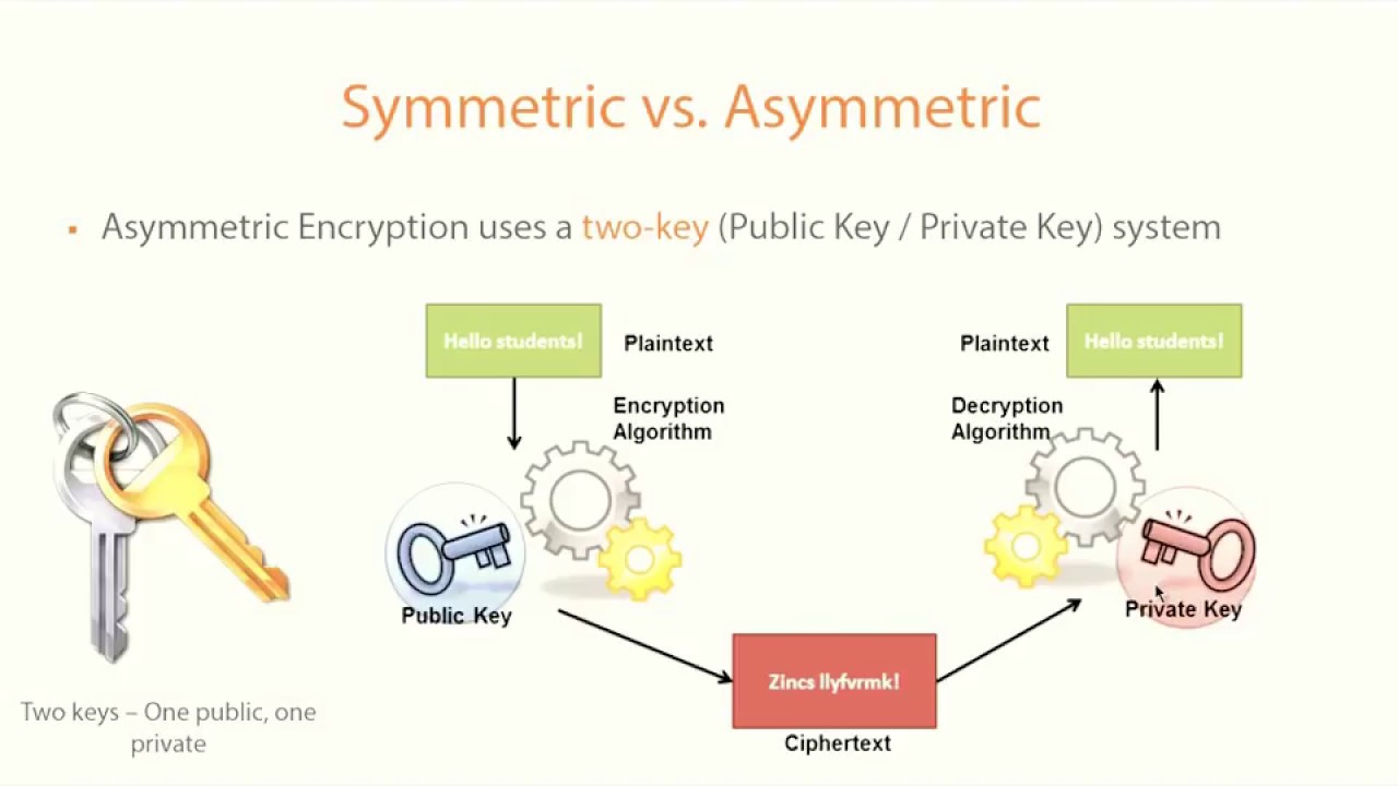 Symmetric vs Asymmetric Cryptography: Which Is Right for Your Security Needs? 🔐