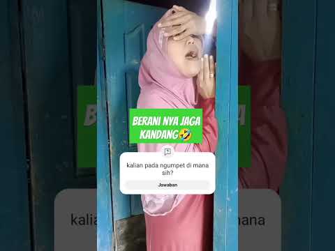 maen petak umpet #mainpetakumpet #funnycats #shortsvideo