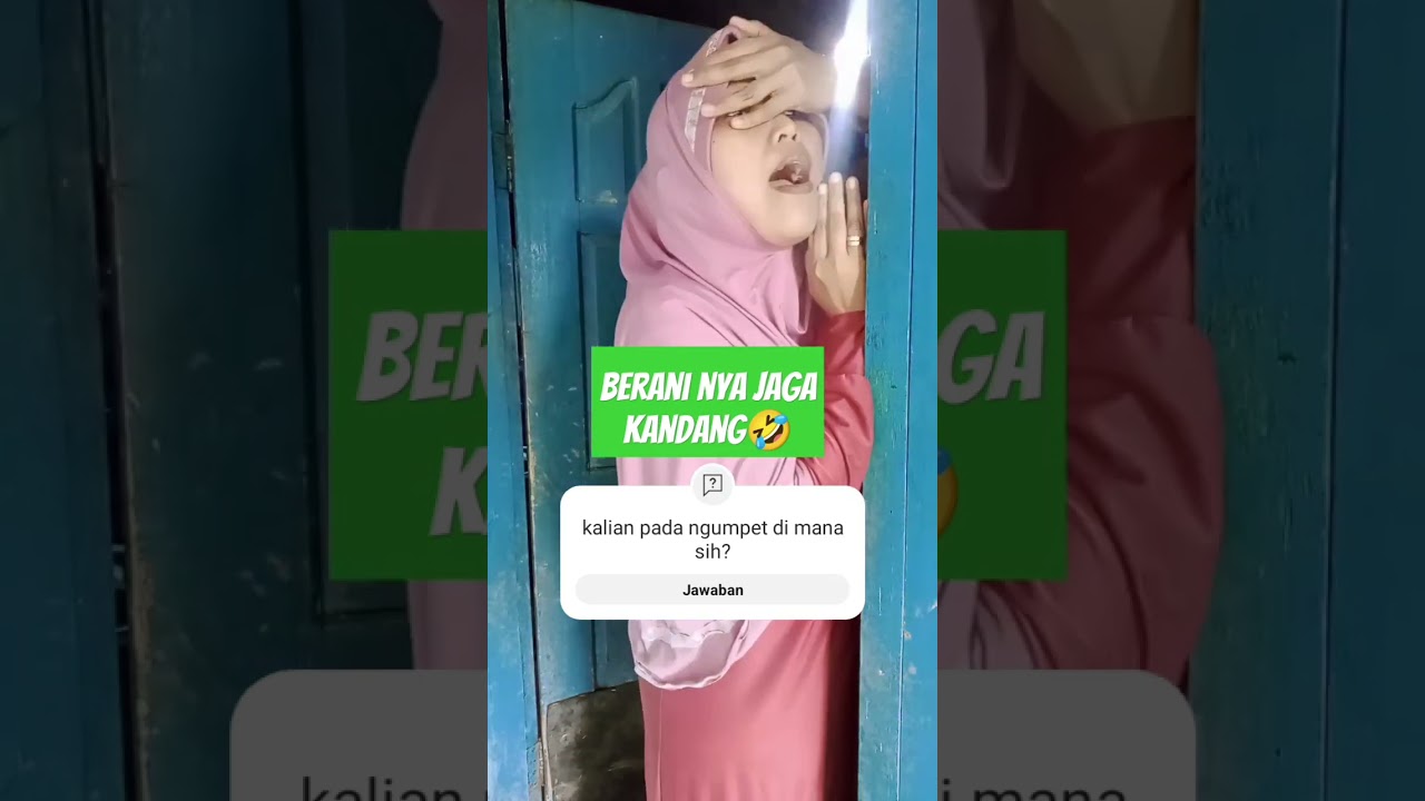 Maen Petak Umpet π± Fun Cat Hide and Seek