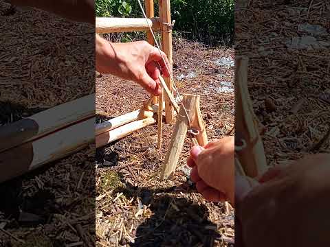 TRAPPING AN ANIMAL IN TEN MINUTES #diy #trap #survival #bushcraft