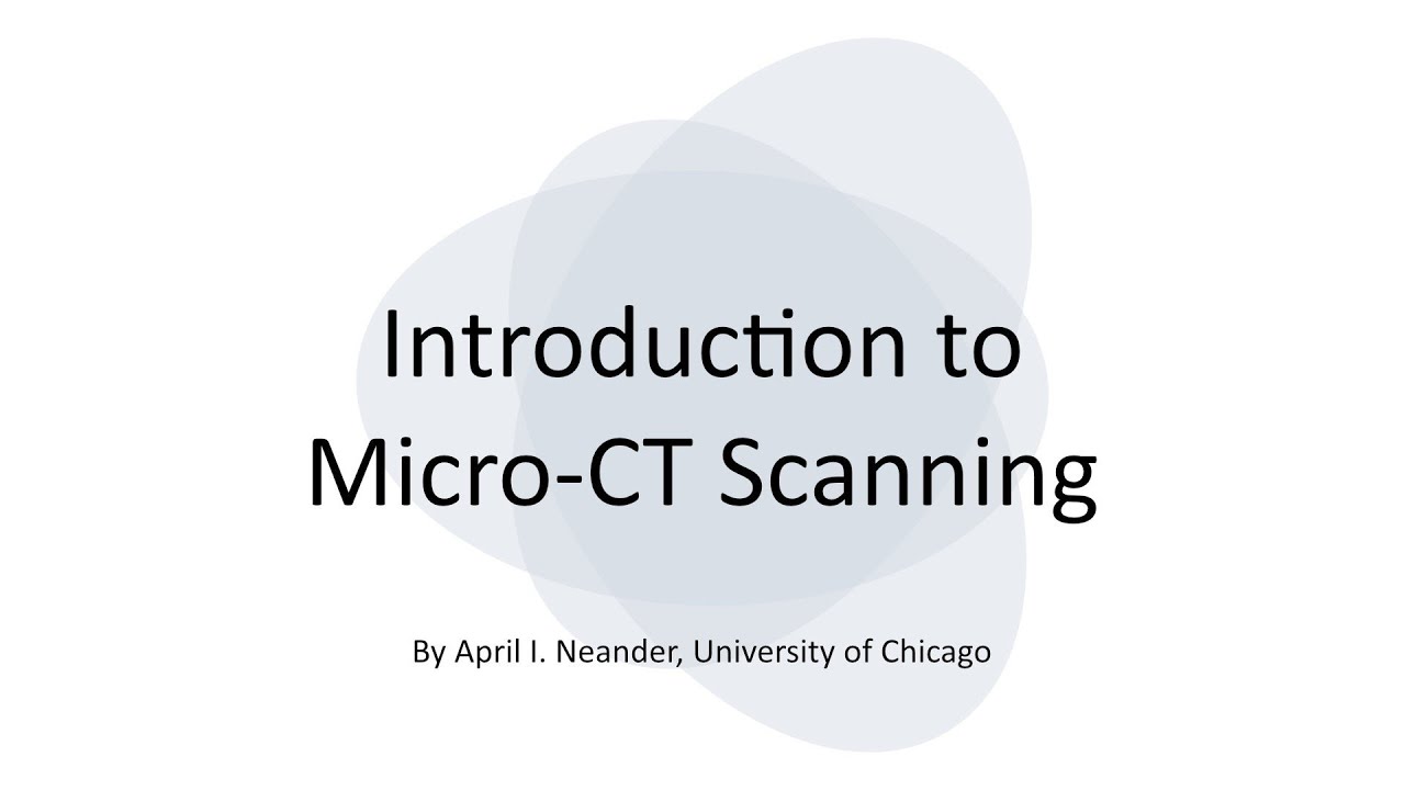 Micro-CT Scanning Basics 🖥️