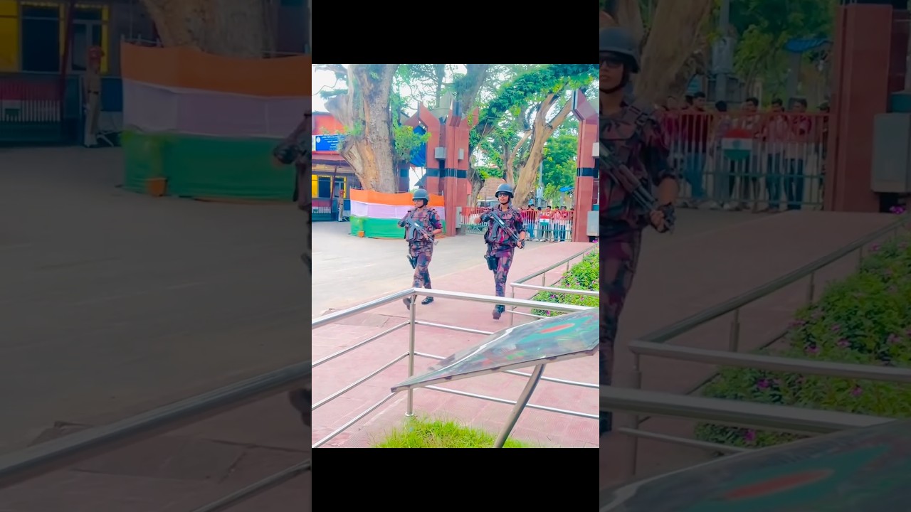 BGB vs BSF: Who Excels? ๐ฎ๐ณ๐ง๐ฉ