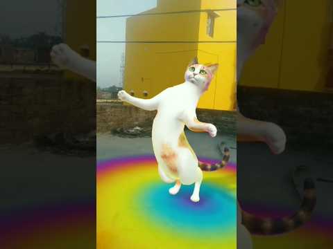 chunni mein perfume Lal chunri #dj remix #dj #song #dj song #love #funny #mus genre #mor