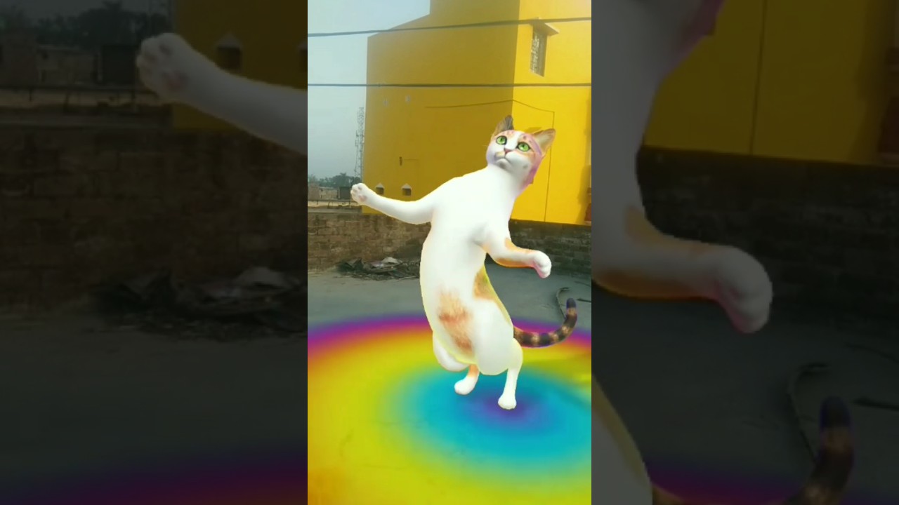 Chunni Mein Perfume & Lal Chunri | DJ Remix Song for Fun & Love 🎶