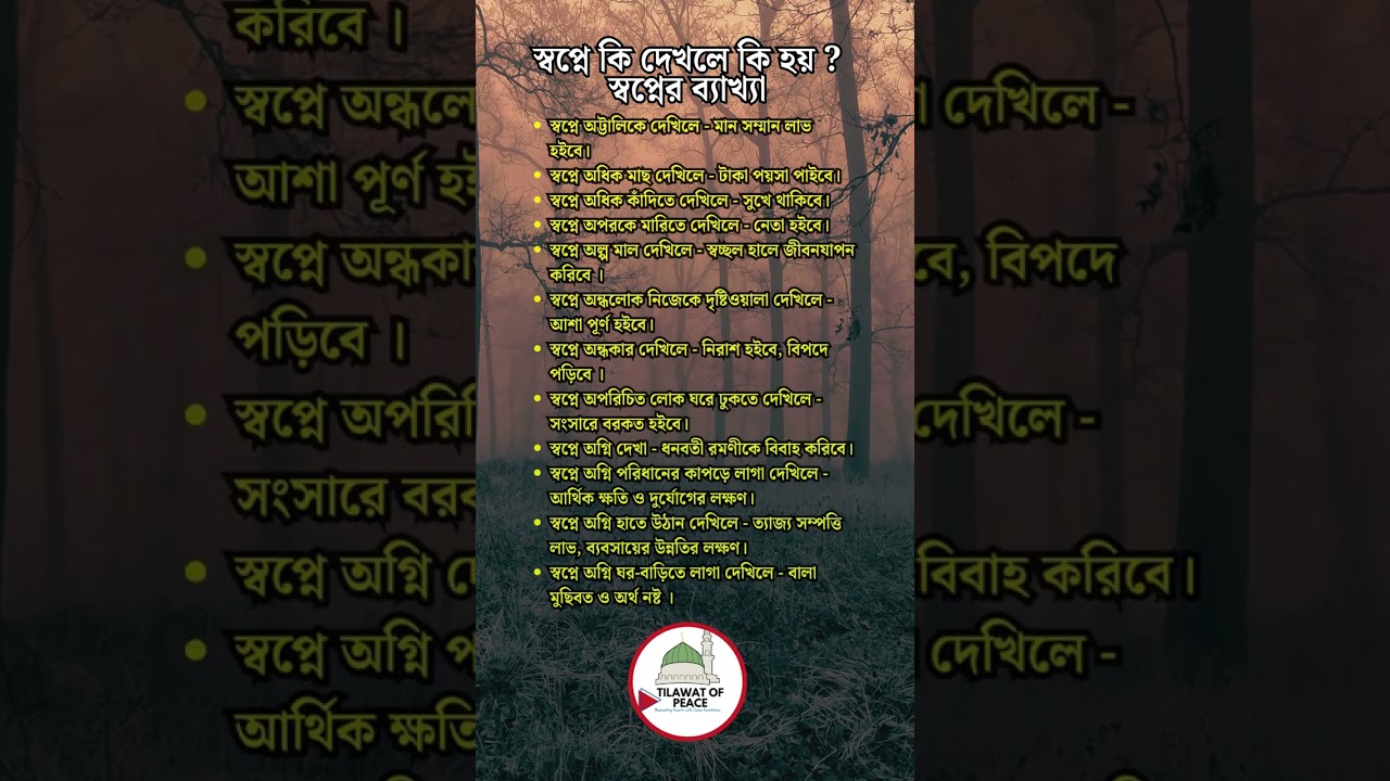 স্বপ্নের অর্থ ও ব্যাখ্যা | শায়খ আহমাদুল্লাহ 🌙