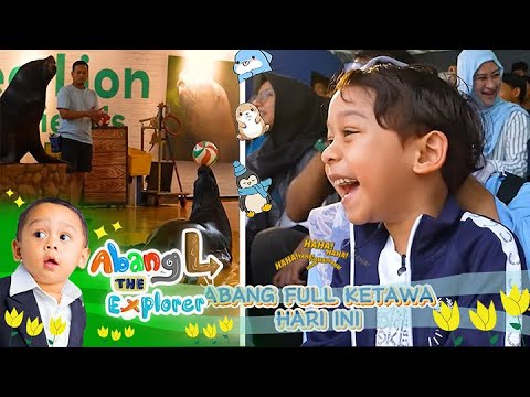 Abang L Gak Henti Tawa Saat Saksikan Atraksi Sea Lion 🦭