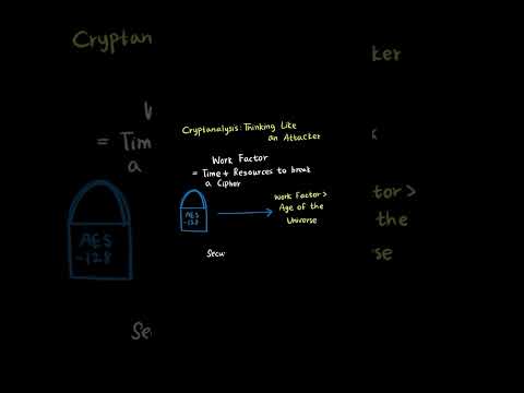 D334 OA Exam Prep in 60 Seconds