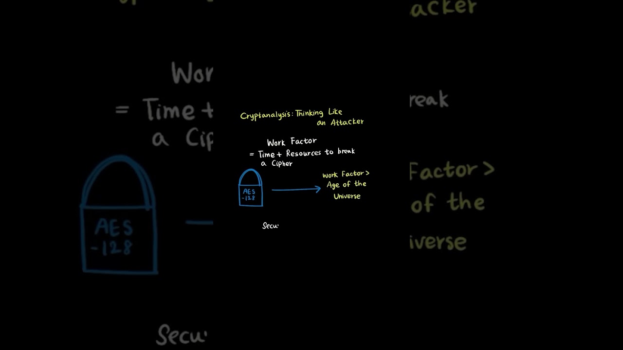 D334 OA Exam Prep in 60 Seconds