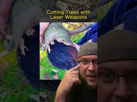 Cutting Trees With Lasers