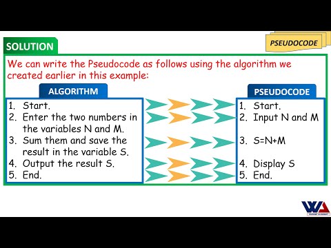 Basics of Algorithm and Pseudocode and the differences between them.