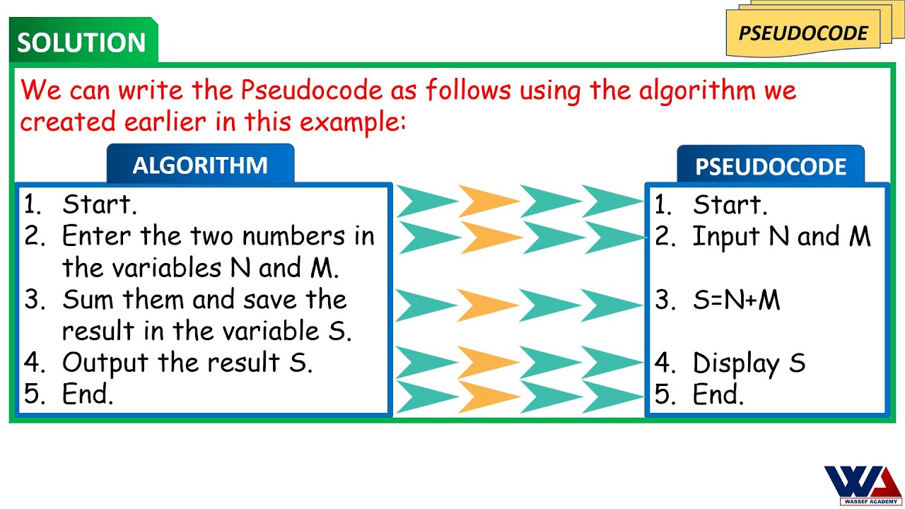 Understanding Algorithms vs. Pseudocode: Key Differences Explained 🧩