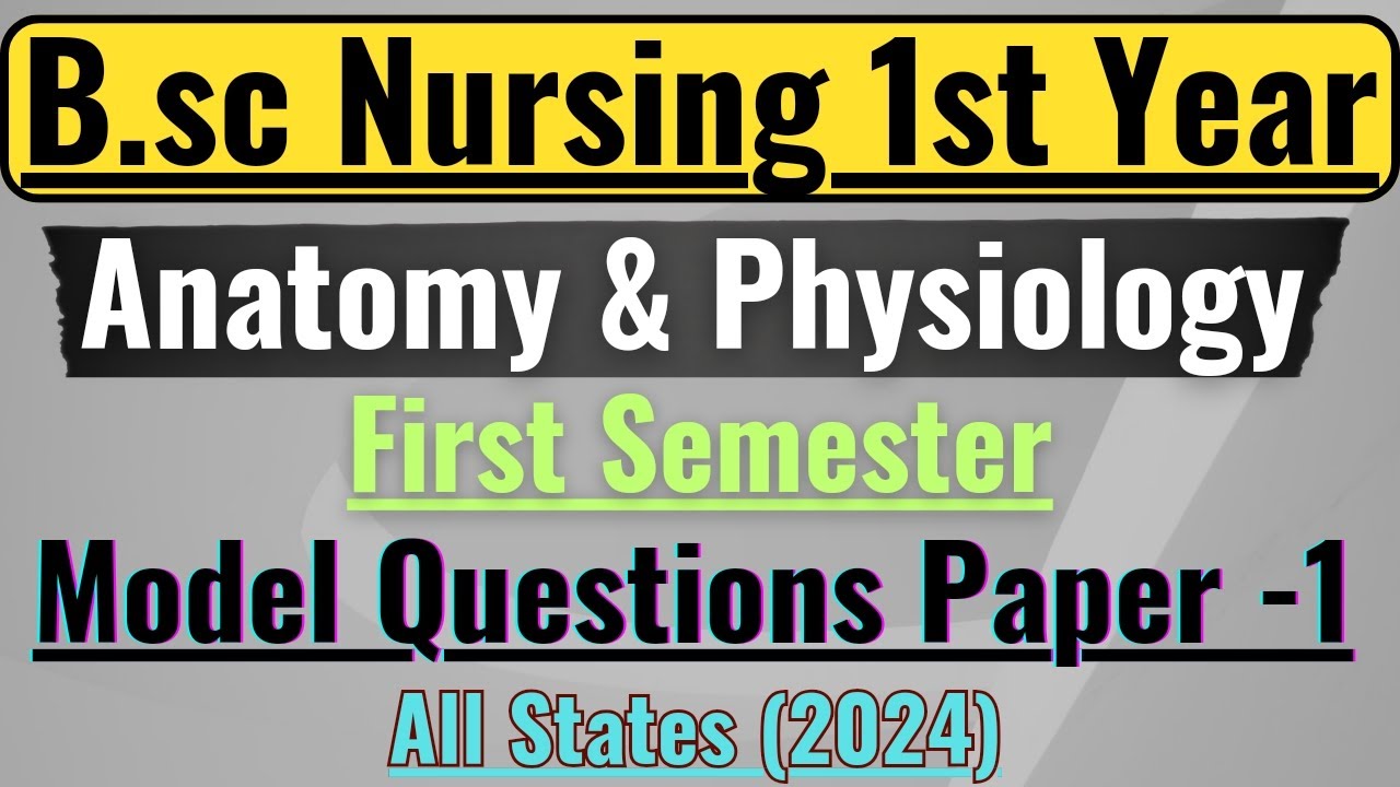 BSc Nursing 1st Year Anatomy & Physiology 2024 Question Paper 📄