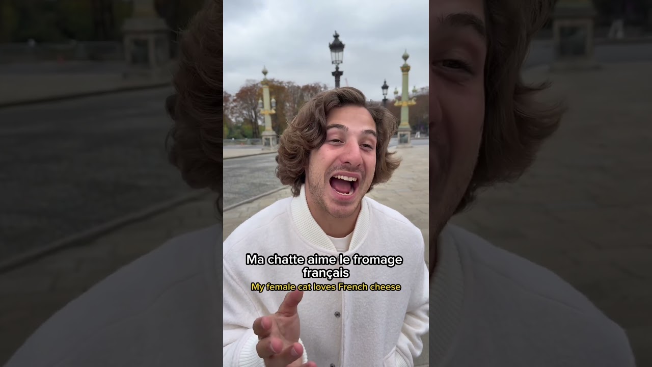 Studied French with the Green Owl 🥲