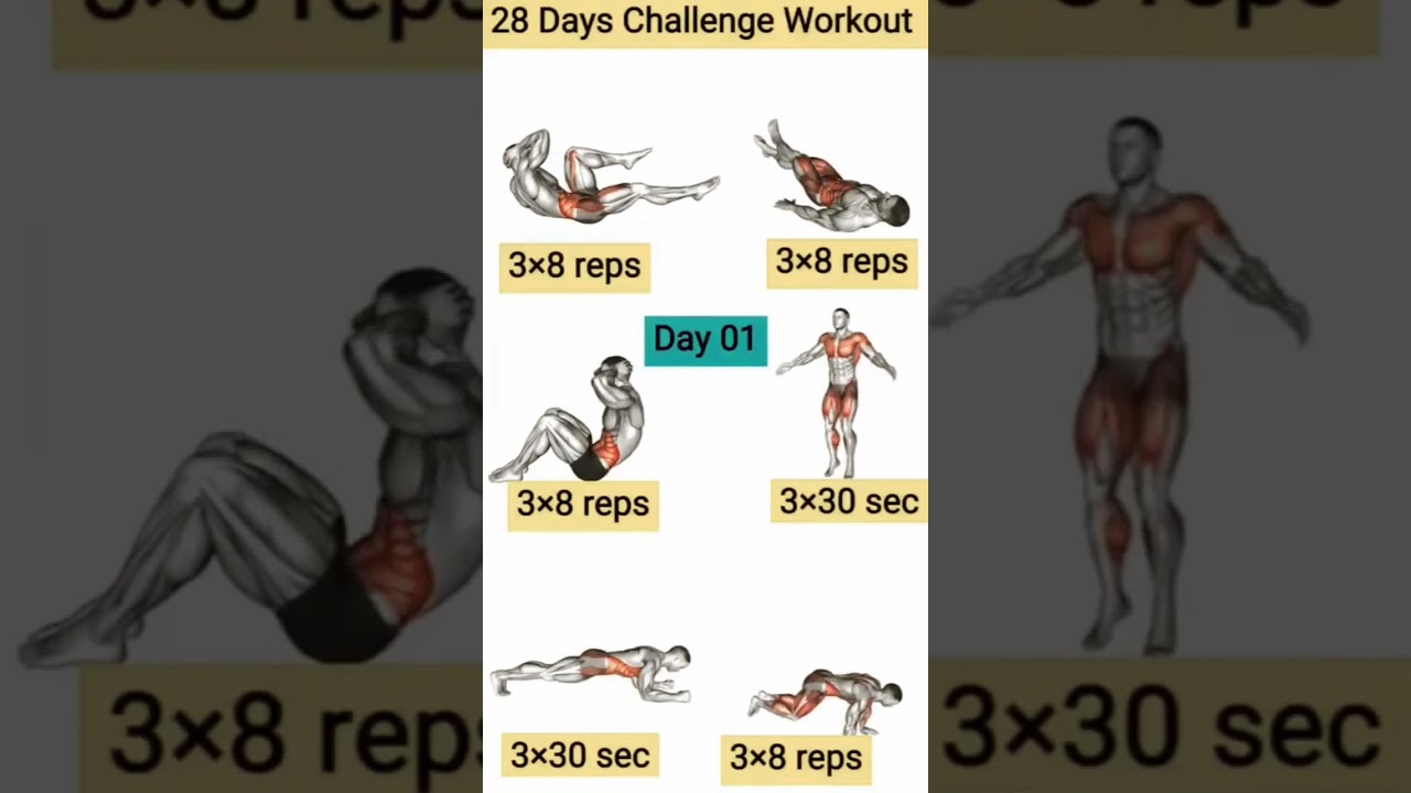 28-Day Full Body Workout Challenge 💪