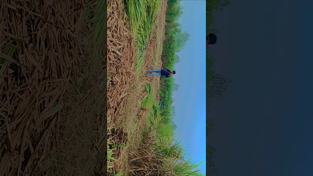 Discover the Romantic Hit 'Ishq Mein Ek Pal' from Barsaat 🎶