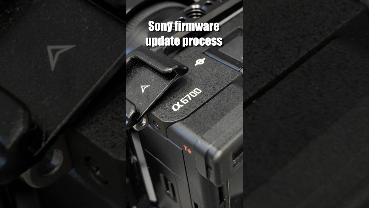 Risky Firmware Update for Sony A6700 📷