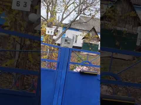 3 ноября 2025 г.