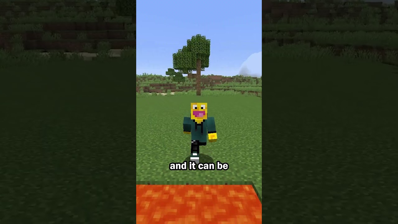 Top Minecraft Trap 🧊