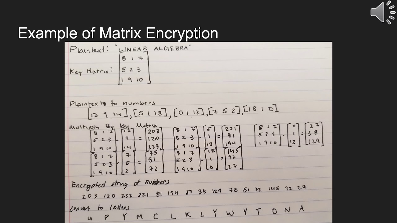 Matrix Cryptography: An Overview