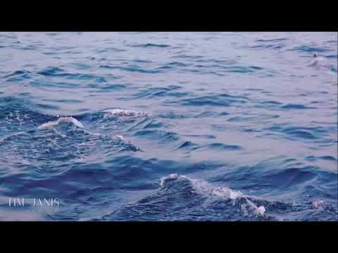 Balti - Dima Mechi (Official Music Video)