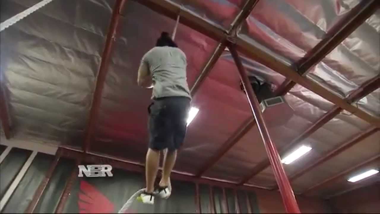 Nightly Business Report: Protein-Packed Grain Trend π₯