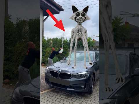 АНОМАЛЬНЫЙ КОТ поломал мою МАШИНУ - 2 серия Zoonomaly #ysshorts #funny #zoonomaly